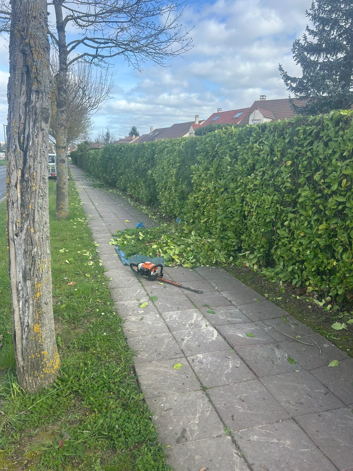 Réalisation Élagueur 15
