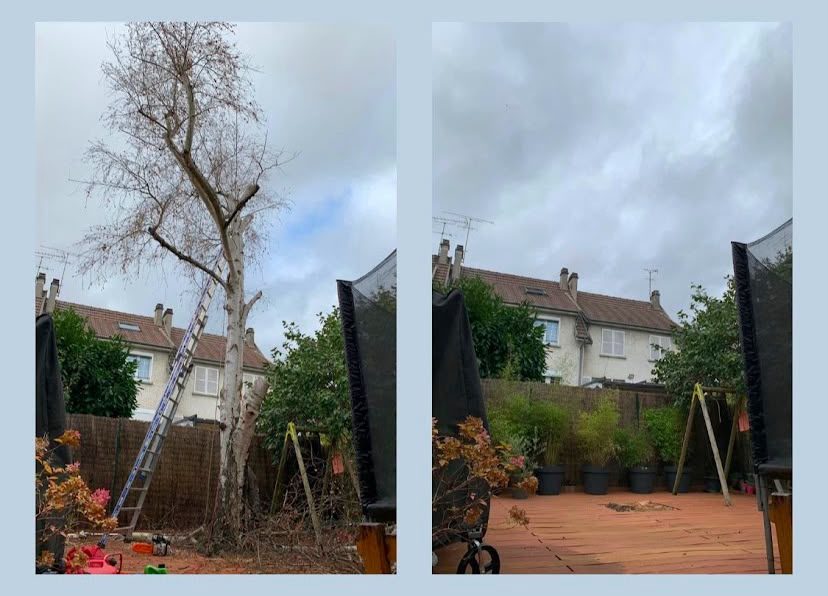 Réalisation Élagueur 7